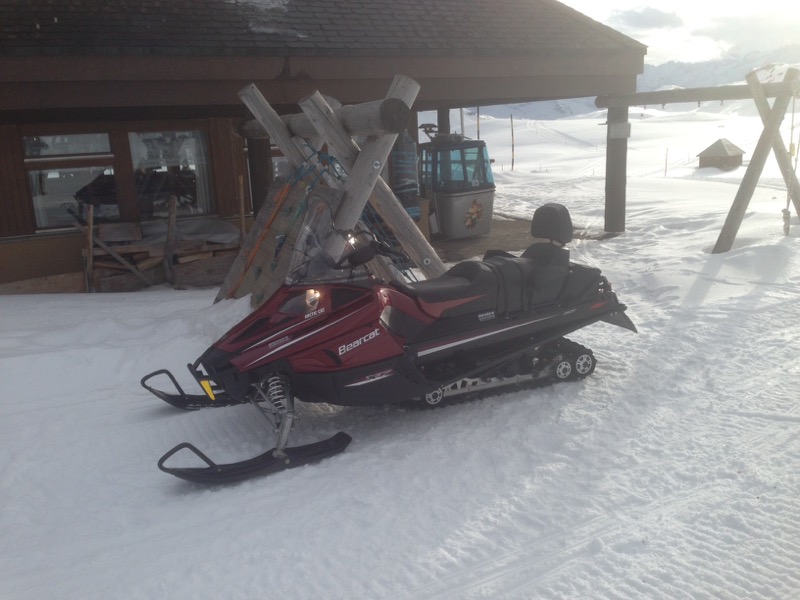 Arctic Cat Bearcat Z1 XT LTD